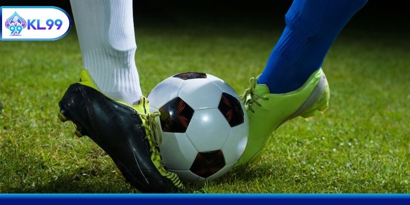 Các đấu trường bóng đá đỉnh cao