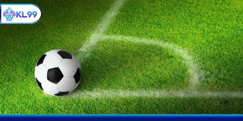 Kinh nghiệm cá cược nhờ yếu tố thời tiết